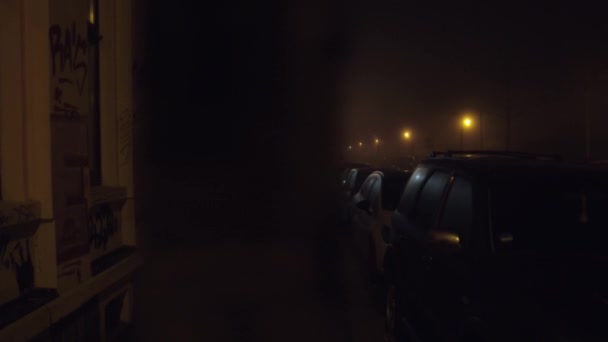 Slow Motion Cars Parked Empty Street Illuminated Lanterns Night Foggy — Stok video