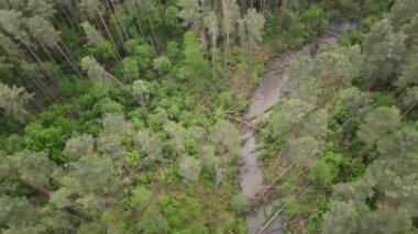An aerial view of a river in the middle of the forest in Zegrze, Poland in HD