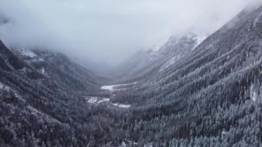 Karlı dağ sırasının kozalaklı ağaçlarla kaplı güzel drone görüntüleri..