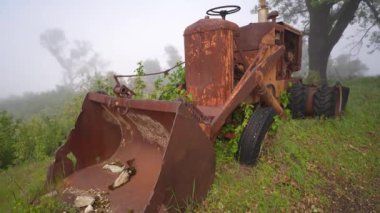 An abandoned bulldozer overgrown with a plant over a gloomy background