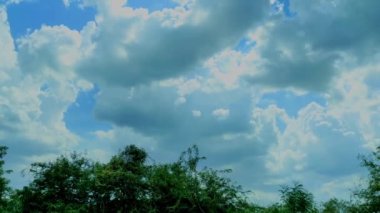 ABeautiful Shot Of Monsoon Season Clouds With Tree