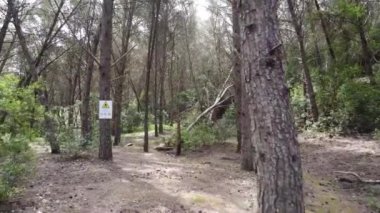 A drone shot of a picturesque nature park in Algarve, Portugal