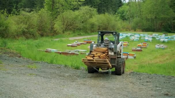 View Person Driving Tractor Wooden Containers Honey — Stockvideo
