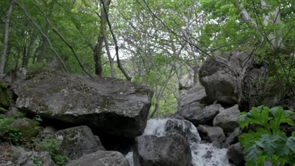 Slow Motion Waterfall Dense Green Forest — Stockvideo