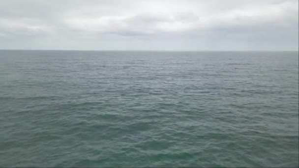 Smuk Udsigt Stranden Forstad Narrabeen Dyster Dag Det Nordlige Sydney – Stock-video