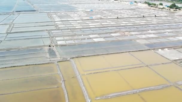 Aerial View Salt Ponds Sunny Morning — Vídeo de stock