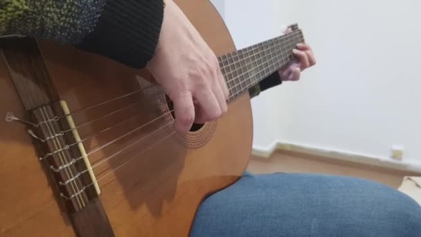 Person Sitting Playing Wooden Guitar — Wideo stockowe