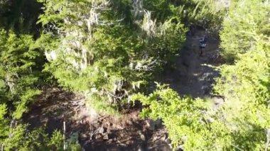 An aerial view of hiker jogging along a path through the lush green forest