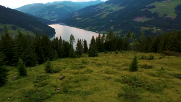 River Flowing Green Mountainous Area Austria — Video
