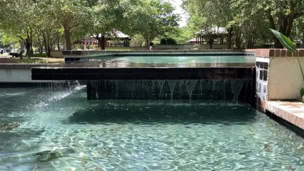 Rectangular Water Fountain Green Trees Background — Stok video