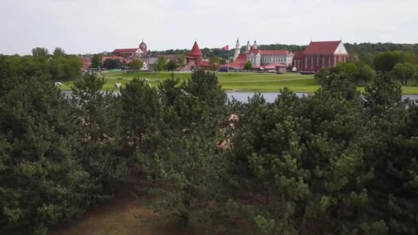 Μια Όμορφη Θέα Του Κάστρου Kaunas Στη Λιθουανία — Αρχείο Βίντεο