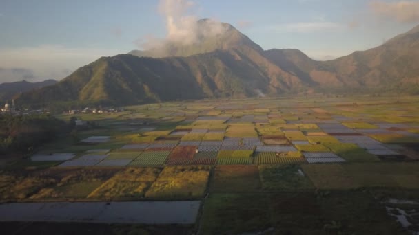 Drone Flying Sembalun Lawang Lombok Island View Many Vegetable Fruits — Stockvideo