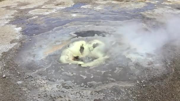 Geology Iceland Bubbling Water Soil Hot Springs — Vídeo de stock