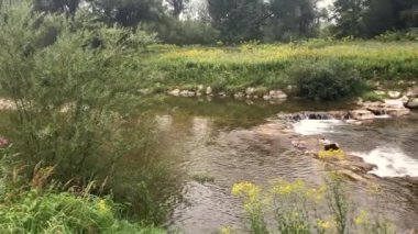 A calm river flowing through trees