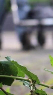 A vertical footage of an unrecognizable woman pushing a shopping grocery cart