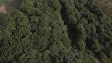 A drone shot of panning over Scottish fields and forests on a sunny day