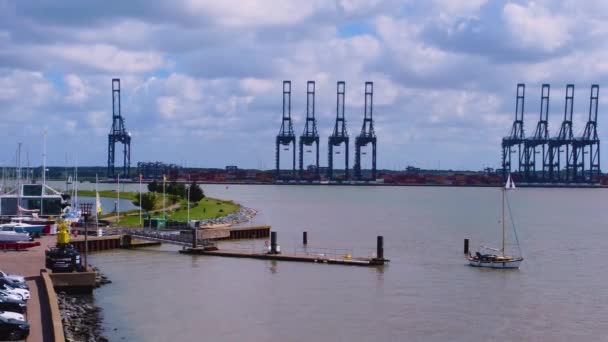 Cranes Loading Ships Port Felixstowe Shotley Suffolk — Video Stock