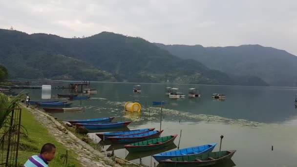 Baia Del Lago Phewa Con Barche Ormeggiate — Video Stock