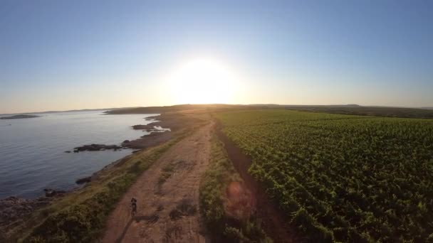 High Angle View Caucasian Man Riding Bicycle Sea — Stock video