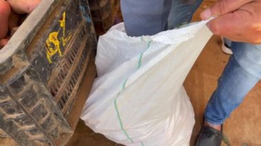 Unrecognizable man takes carrots out of a bag in a street market
