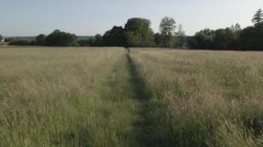 A view of a narrow path through grass plains