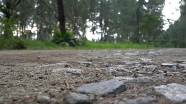 Video of a stony floor