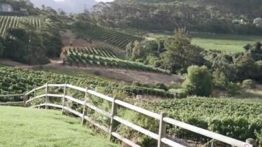 A scenic view of beautiful plantation field behind a fence on a sunny day