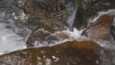 A fast water stream on rough rocks in the wood