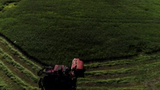 Aerieal Беспилотник Норвежского Фермера Вождения Трактора Стрижка Зеленой Травы Пастбища — стоковое видео