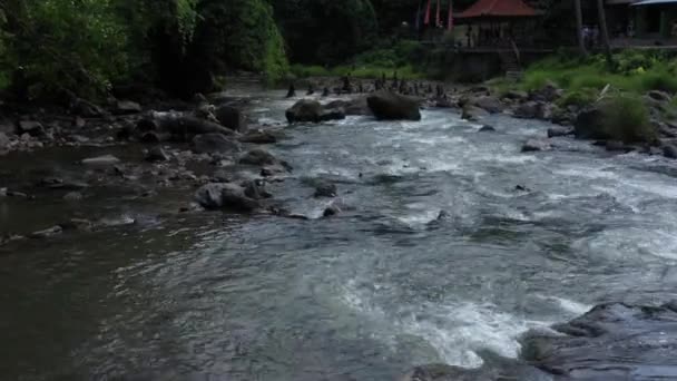 Ένα Κοντινό Πλάνο Ενός Ρέοντος Ποταμού Ένα Πάρκο — Αρχείο Βίντεο
