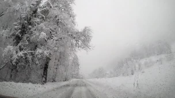 Автомобиль Проходящий Дороге Через Покрытый Снегом Лес — стоковое видео