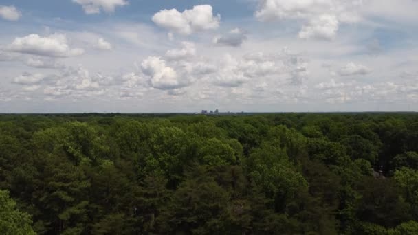 Aerial Shot Forest Greensboro North Carolina Clouds — Stockvideo
