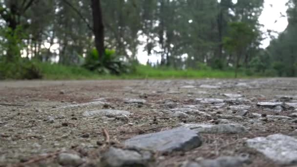 Video Podea Piatră — Videoclip de stoc