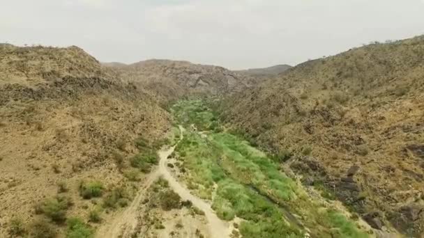 Mesmerizing Drone View Beautiful Mountainous Valley River Saudi Arabia — Stockvideo