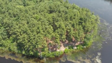 A drone flies over green forest trees by a lake
