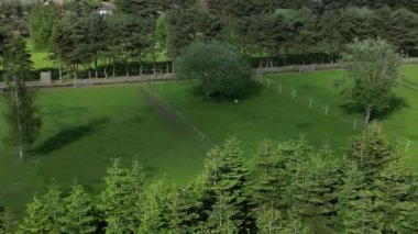 A scenic shot of green grass fields surrounded by beautiful trees