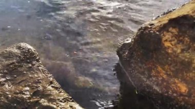 Sabahları sahilde kayalara vuran kısa deniz dalgalarının huzurlu manzarası.