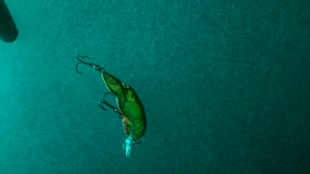 Video Footage Fishing Hook Form Crab Floating Deep Water — Stock video