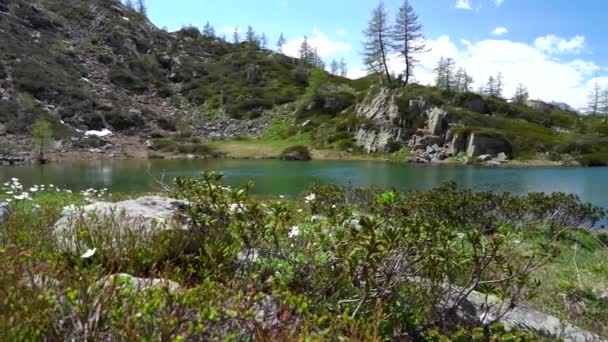 湖面四周生长着环抱群山的绿色植物 — 图库视频影像