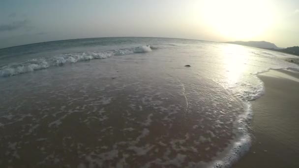 Una Bella Foto Una Persona Che Corre Spiaggia Vicino Alle — Video Stock