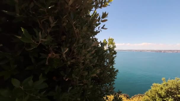 Beautiful View Beach Trees England — Stockvideo