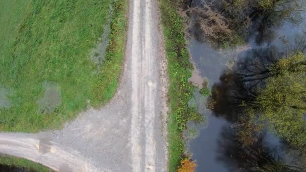 Aerial View Car Country Road Lake Green Nature Sides — Stock video