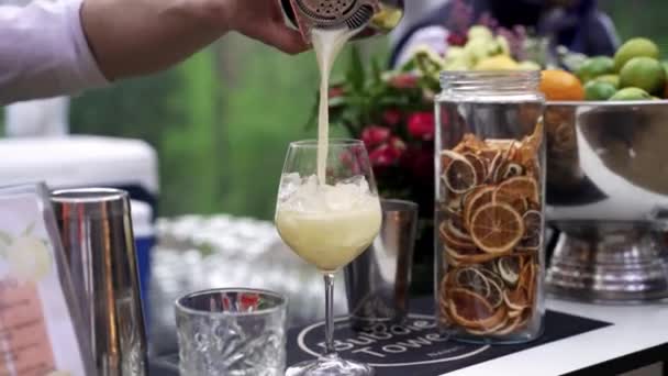 Close View Bartender Pouring Cocktail Shaker — Stock videók