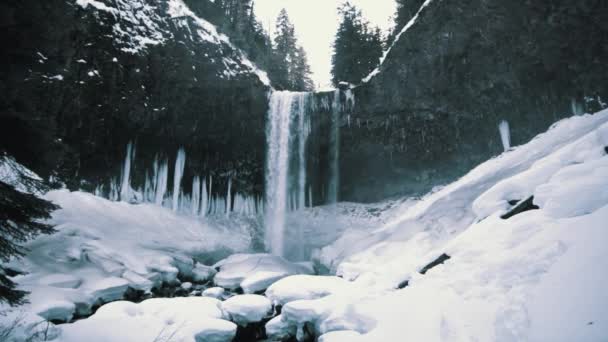 慢镜头 于冬季在俄勒冈州北部拍摄 — 图库视频影像