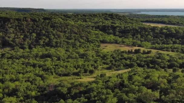 Aerial View Scenery Green Trees Cedar Ridge Preservation — Video Stock