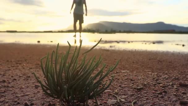 Long View Man Walking Camera Barren Landscape Affected Drought Due — Stock videók