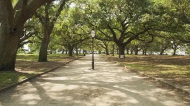 A beautiful view of a walkway in White Point Garden in Charleston, SC