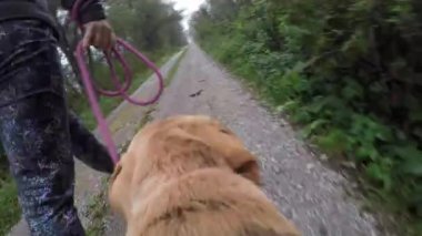 Kafkasyalı bir kadının ormanda kahverengi köpeğiyle koşarken yakın çekimi.