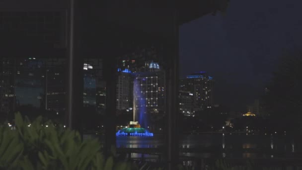 Вночі Зеленого Куща Перед Хмарочосами Відкривається Чудовий Краєвид Барвисті Фонтани — стокове відео