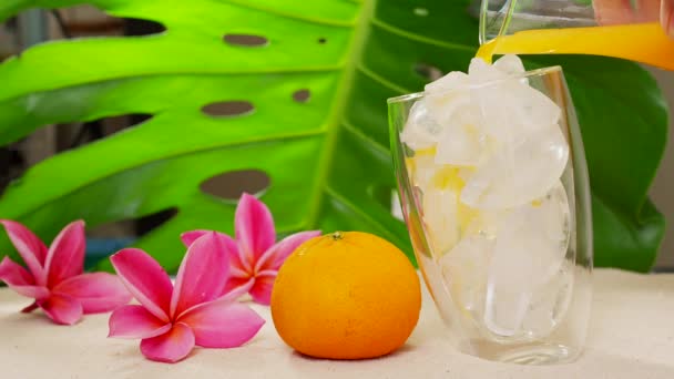 Closeup Refreshing Tropical Orange Juice Poured Glass Ice — Stockvideo
